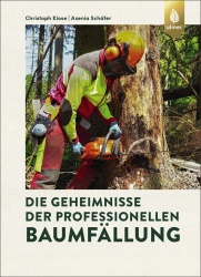 Die Geheimnisse der professionellen Baumfällung 